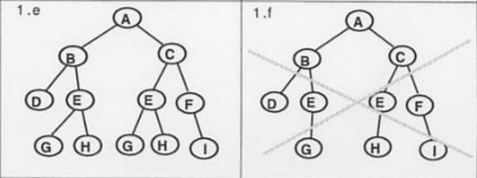 Example of consistent and inconsistent views. On the left, concept E has the same children after being artificially split into redundant concepts. On the right, E has different children, resulting in an inconsistent view. (Image: Cimino JJ. Methods of Information in Medicine. 1998;37(04/05):394-403. [doi:10.1055/s-0038-1634558](https://doi.org/10.1055/s-0038-1634558))