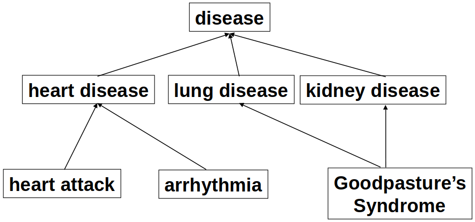Example of a disease polyhierarchy. <br>(Image: Cimino JJ. Symbolic Methods slides. Lecture given 2019-09-17.)